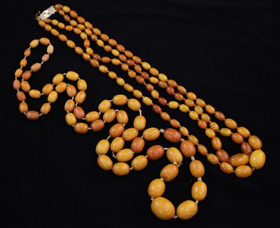 A single strand graduated amber bead necklace and a double strand amber bead necklace, 37in & 22in.